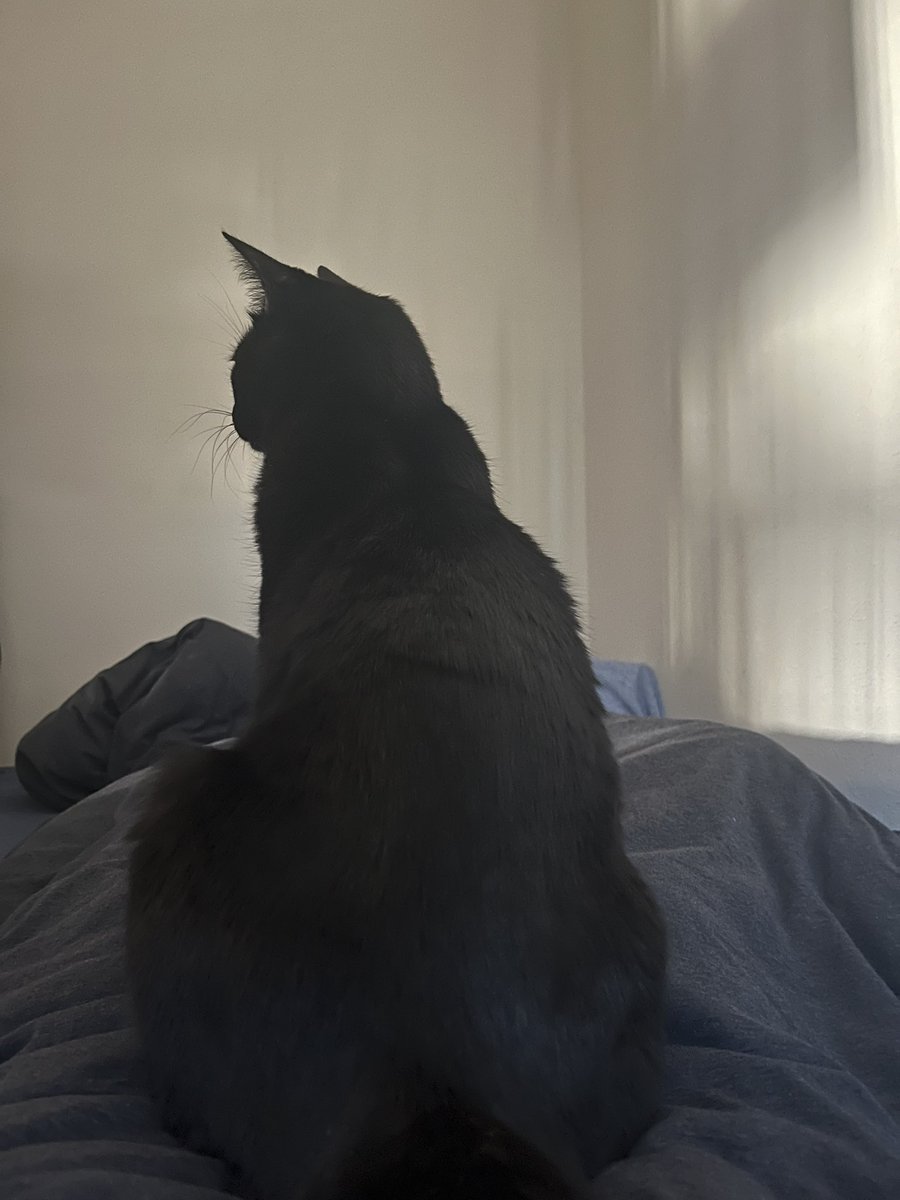 Uk-P.U.N.K Ground☃ tweet media