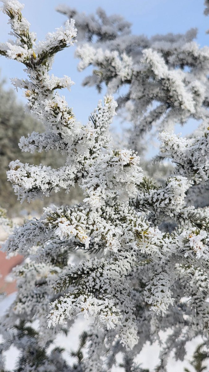 EastKzUK's tweet image. Astana #march2026 #Astana #Kazakhstan #Қазақстан 
#springiscoming