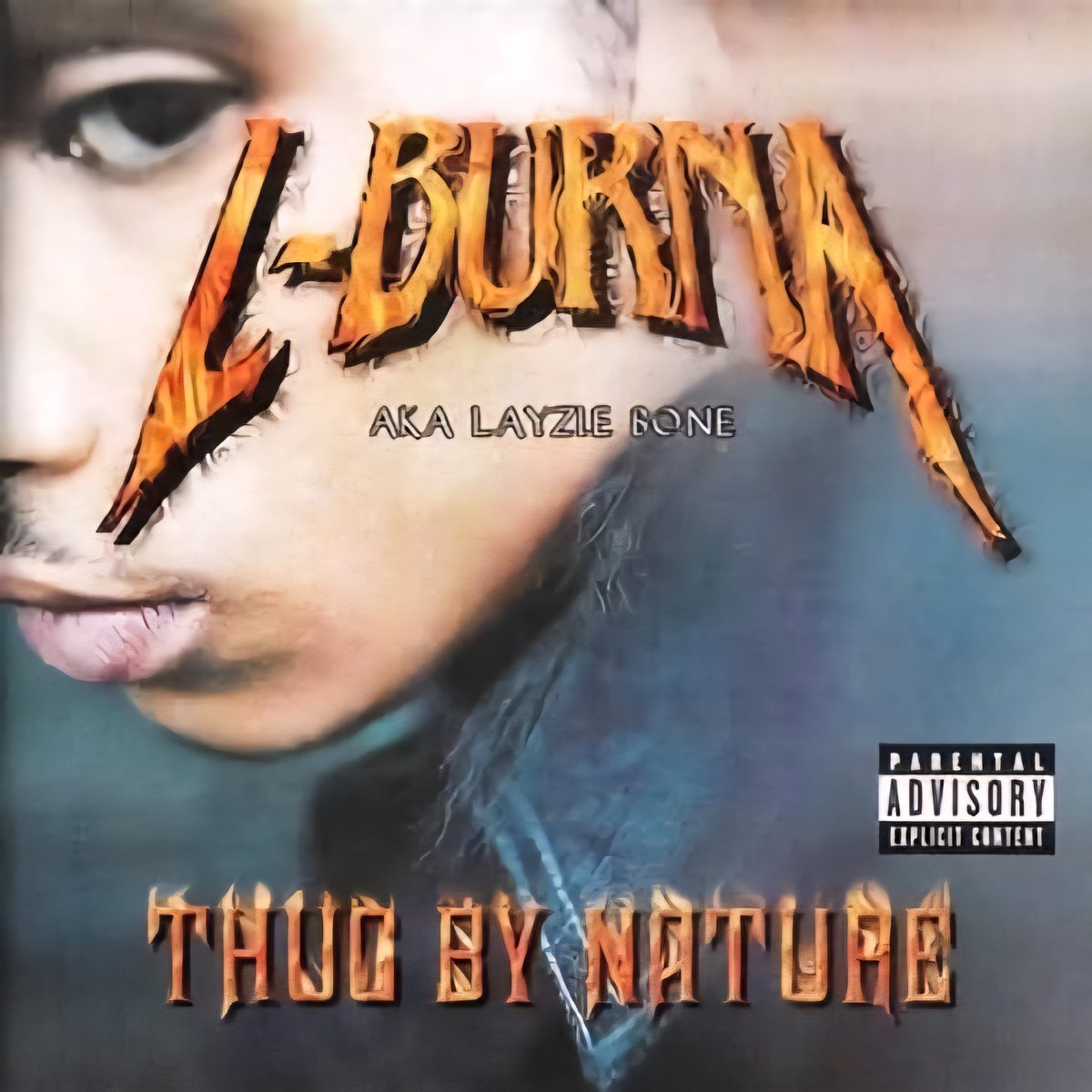 Loyal Bone Fans tweet media