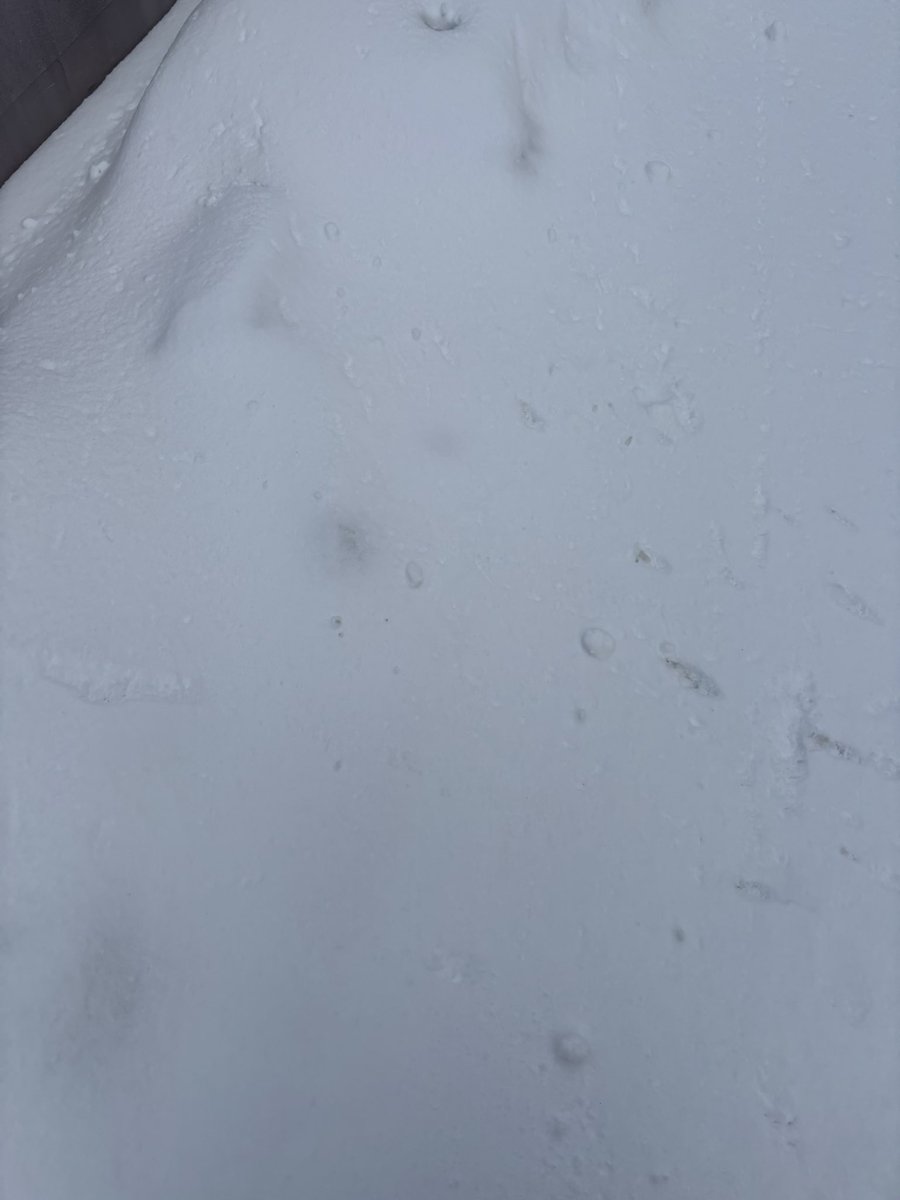 な゛ん゛て゛た゛よ゛ぉ゛