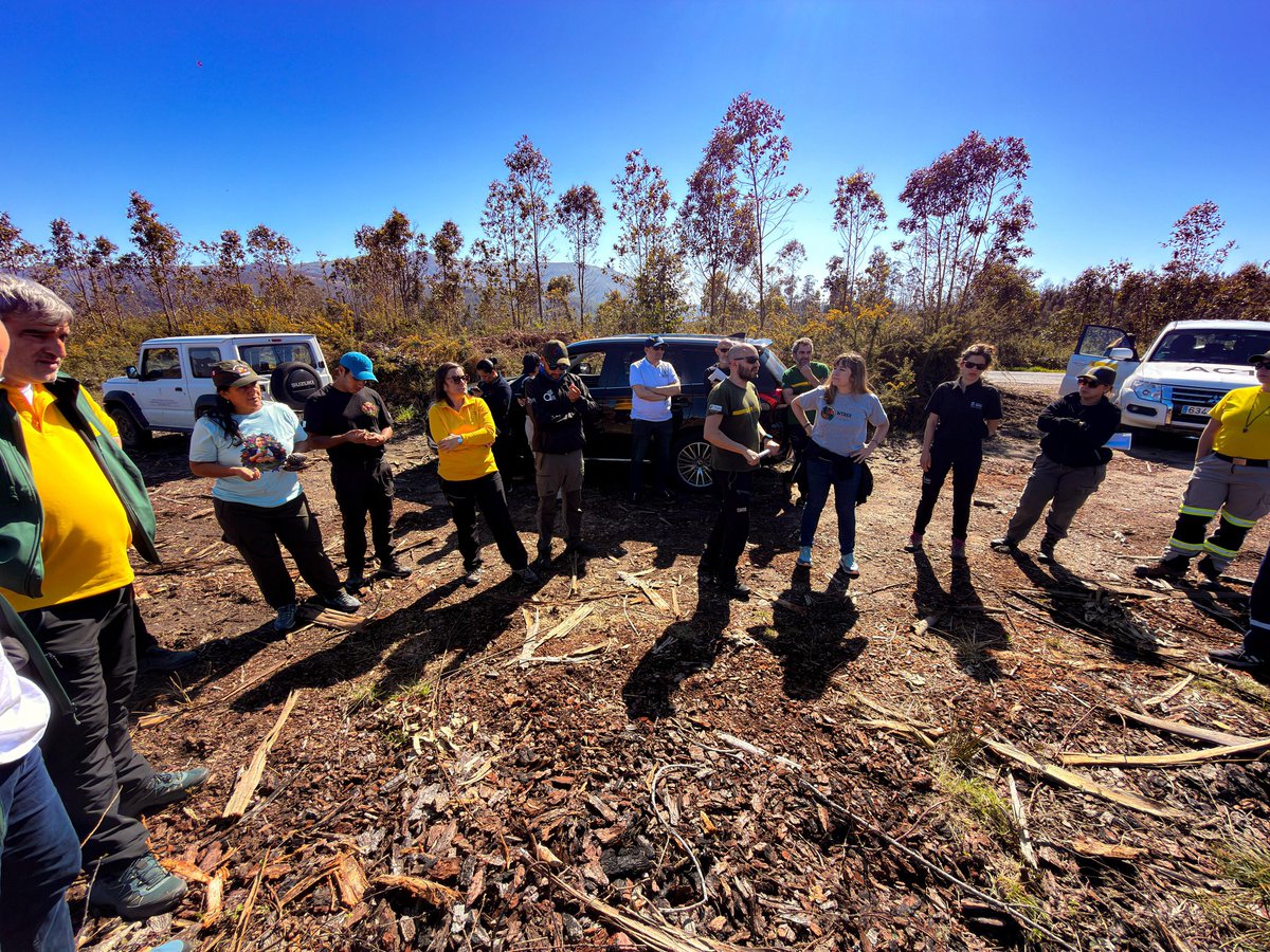 UNGRD🇨🇴 tweet media