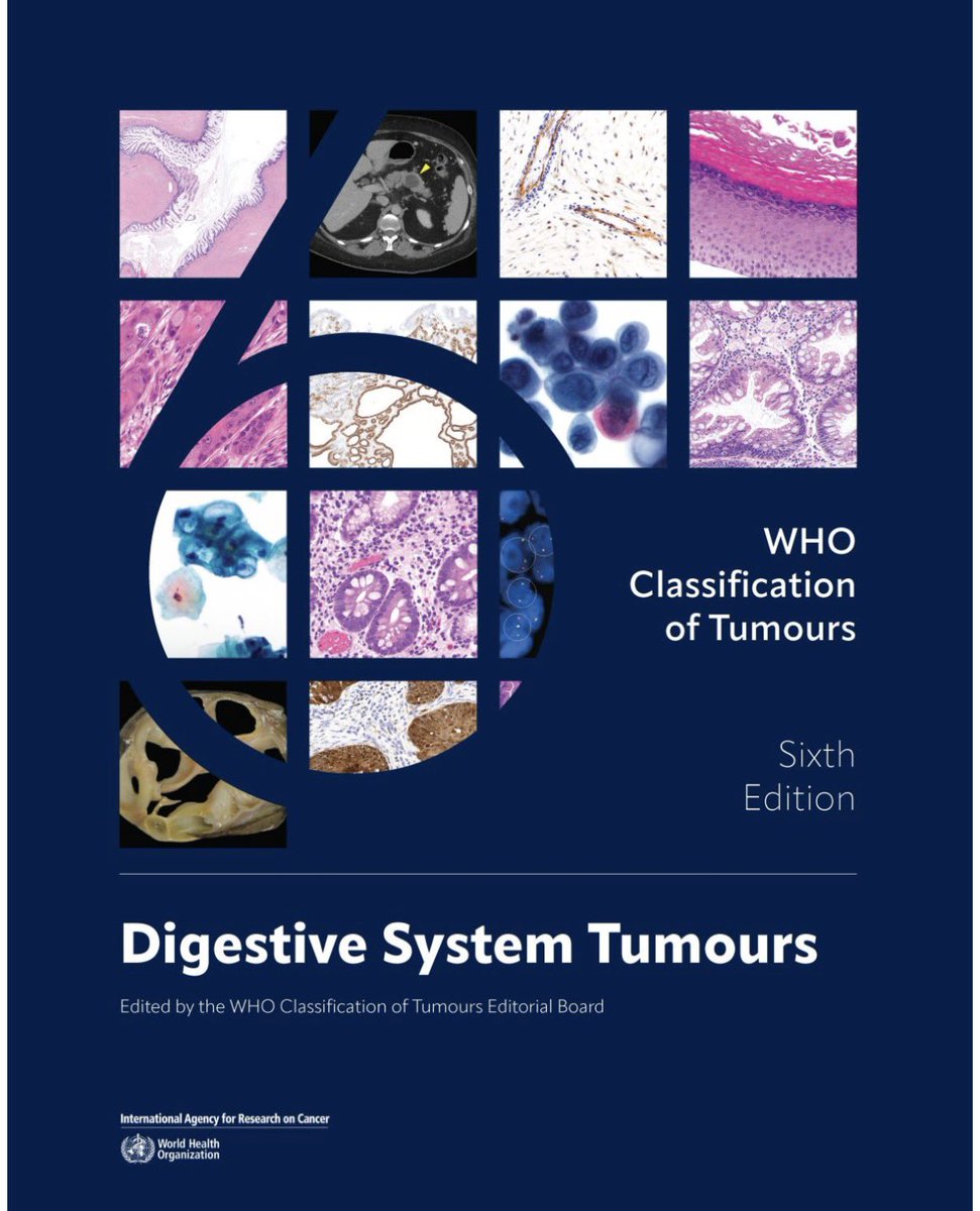 George J. Netto MD tweet media