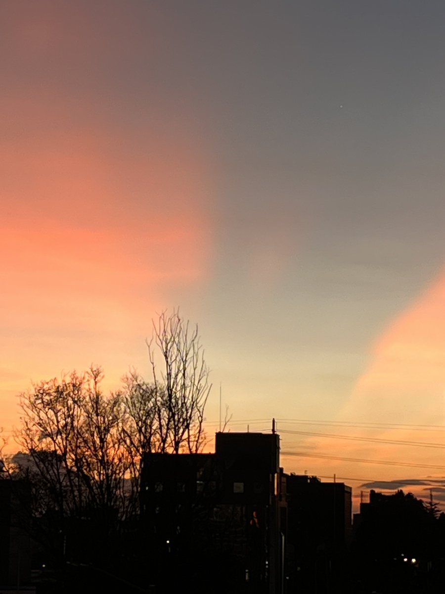 Carmenza Saldias tweet media