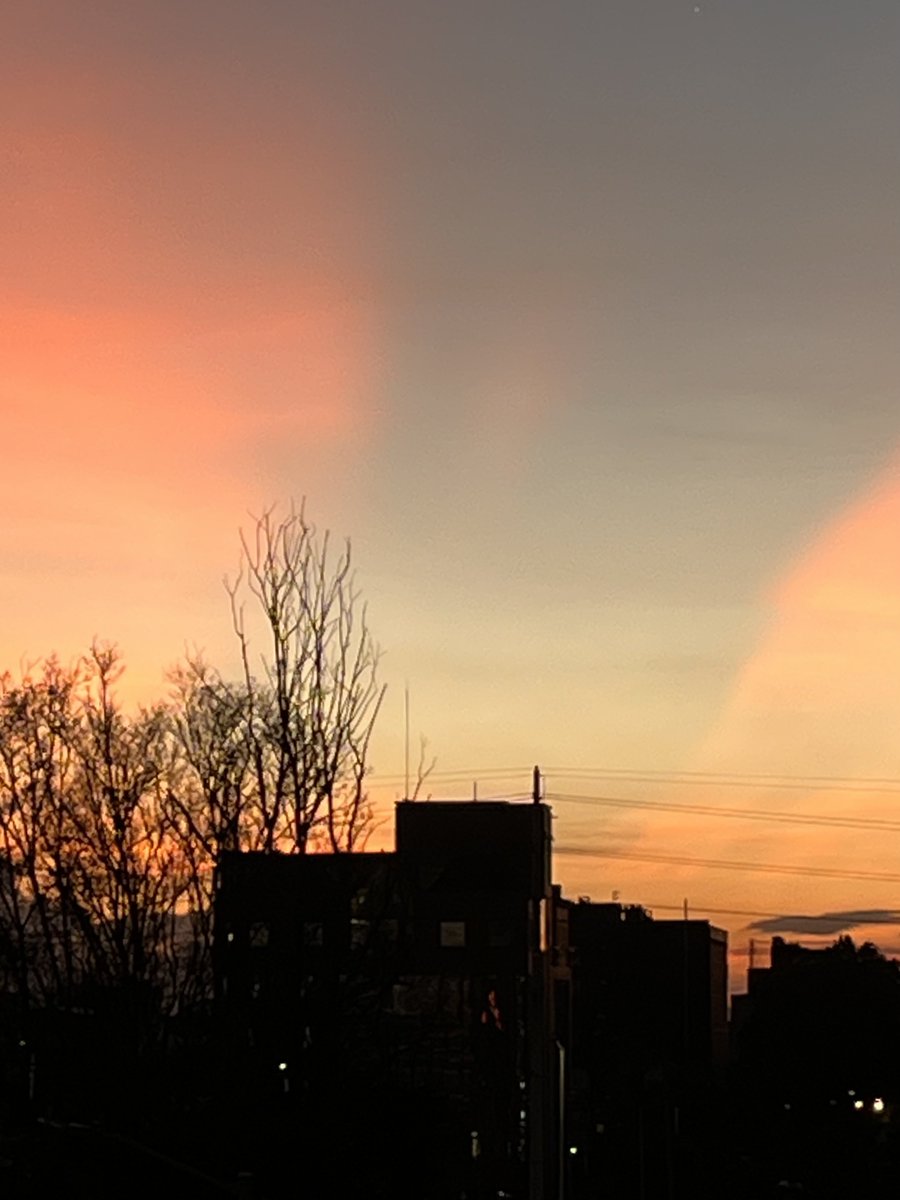 Carmenza Saldias tweet media