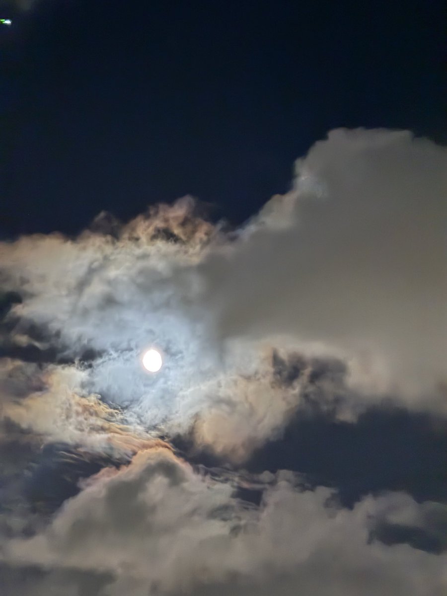 ParadiseAlor's tweet photo. @OrevaZSN Well I guess this is close 🤨

Shot on 📱16 Pro Max https://t.co/Gyiy3mBas6