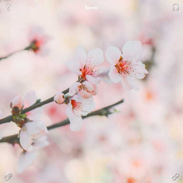otowayaseiemon's tweet photo. Make a conscious decision to embrace happiness each day. Cultivate moments of joy in your daily life. Laugh heartily and release all your concerns. https://t.co/BLNFVlDr4K
