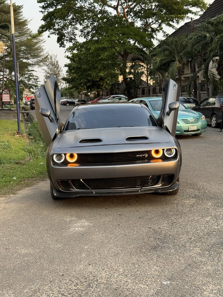 PANTHER CUSTOMS tweet media