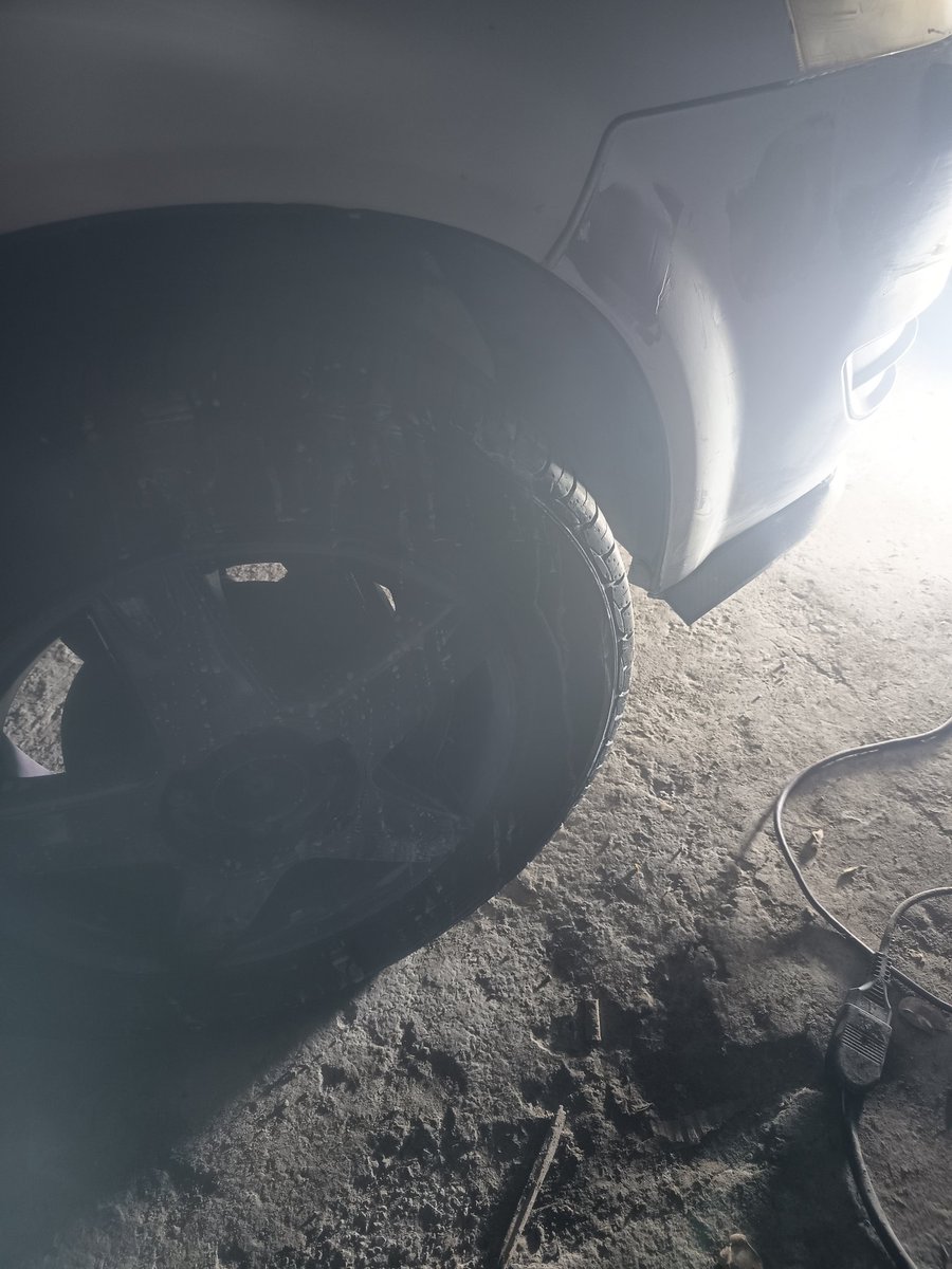 koke_nortino tweet media