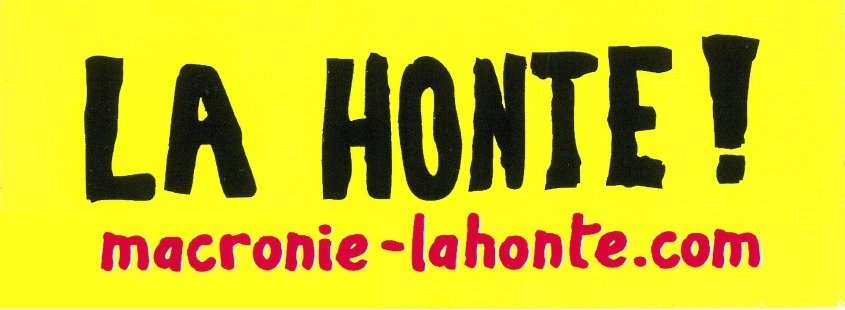 TEE-inox tweet media