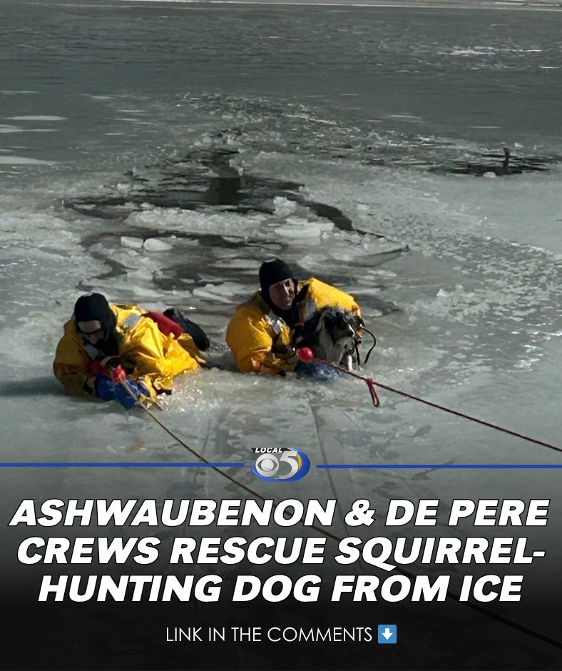 WFRV Local 5 tweet media