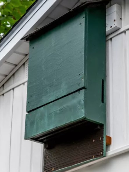 Niagara Falls Museum tweet media