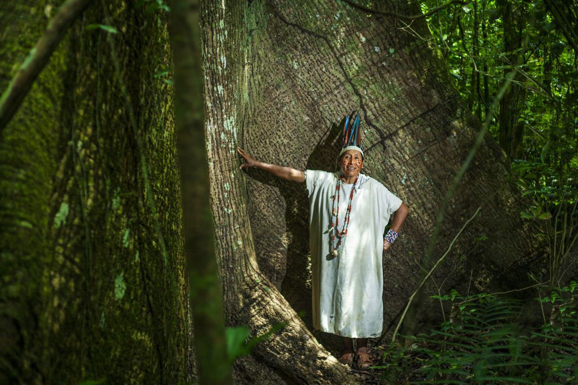 国連開発計画(UNDP)駐日代表事務所 tweet media