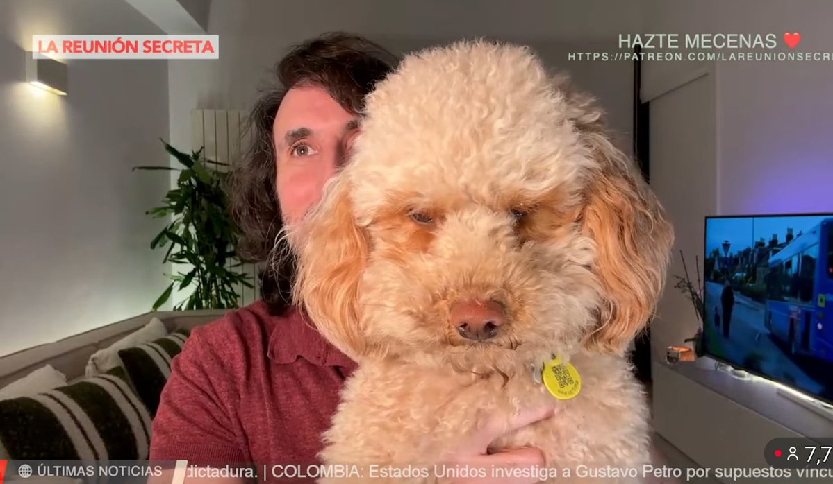 Miren Mari ن tweet media