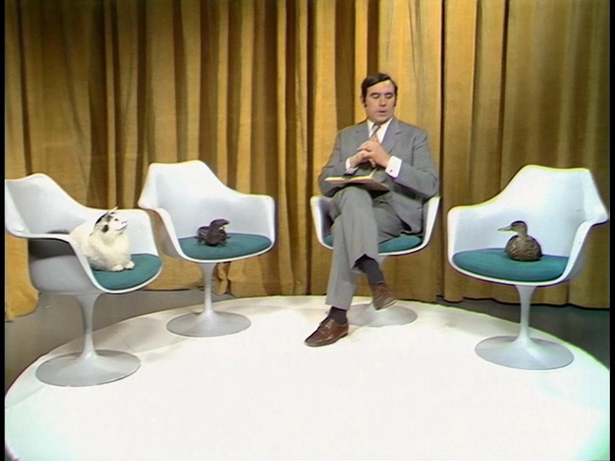 monty python every day tweet media