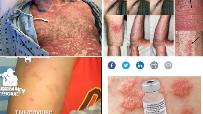 Valerie Anne Smith tweet media