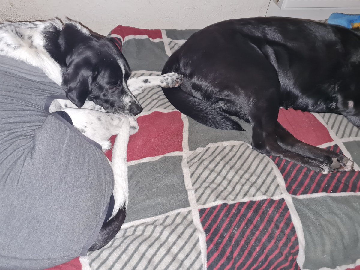 The Profile formerly known as Memorial-Stone tweet media