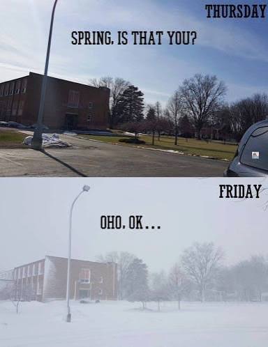 NikkohoB tweet media