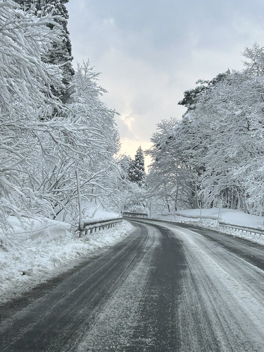 ☀️午前の緑茶🍵 tweet media