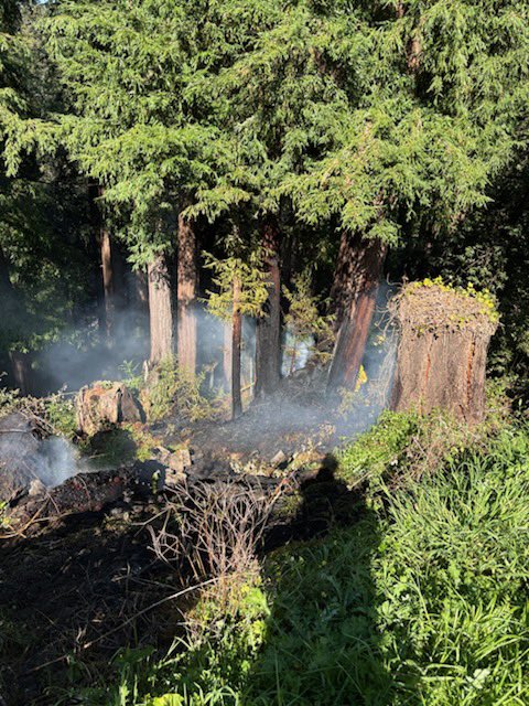 CAL FIRE CZU tweet media