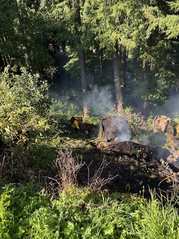 CAL FIRE CZU tweet media