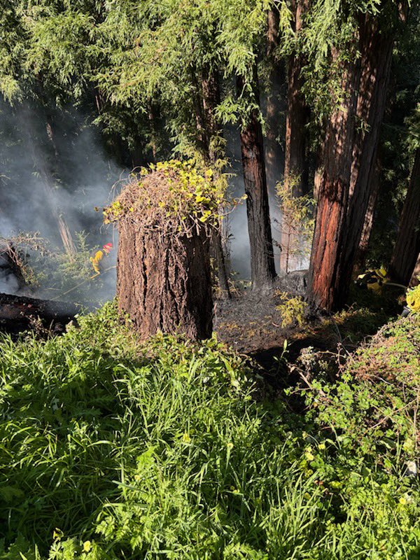 CAL FIRE CZU tweet media