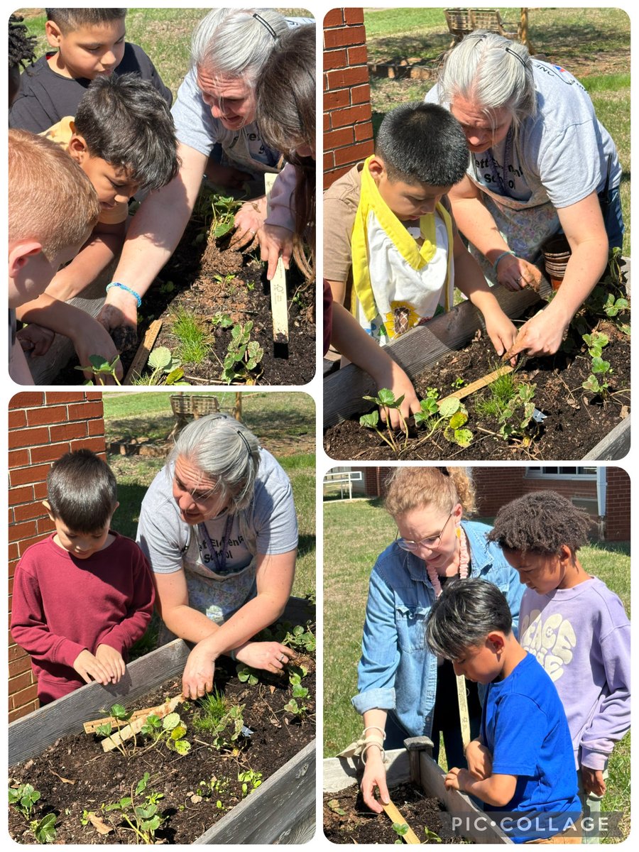 Pickett Elementary School Jackets tweet media