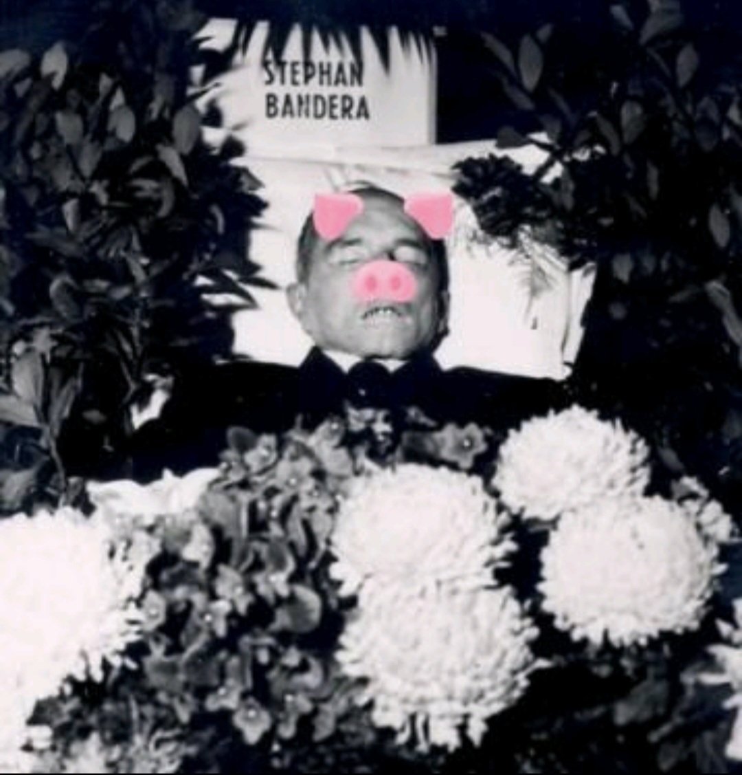 pansir s2m🇨🇵 tweet media