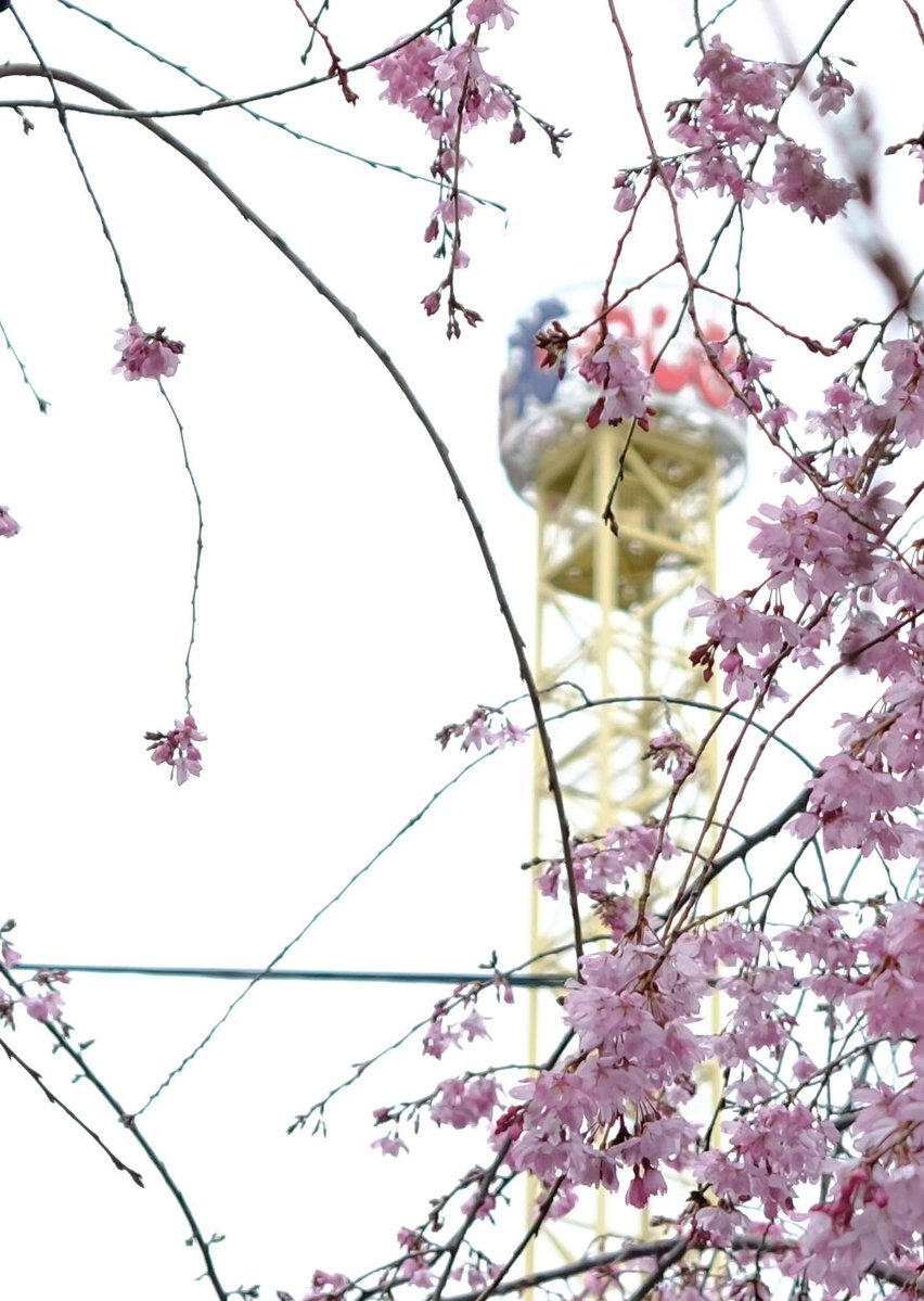 S.snafkine tweet media