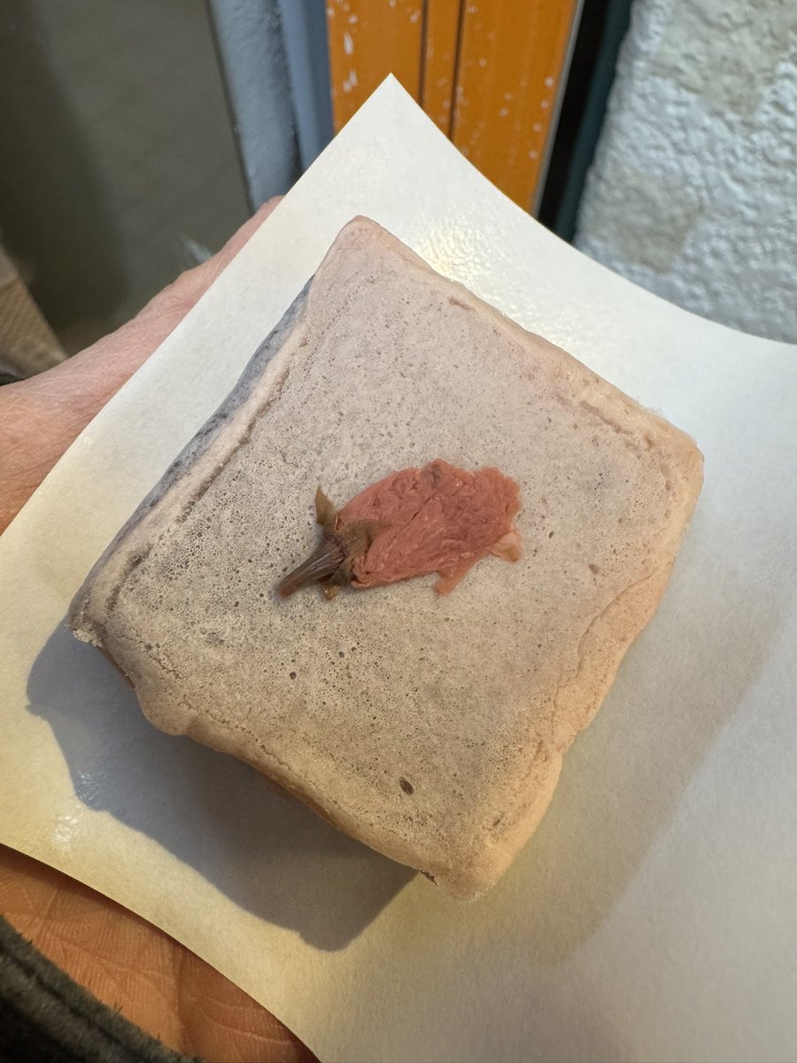 S.snafkine tweet media