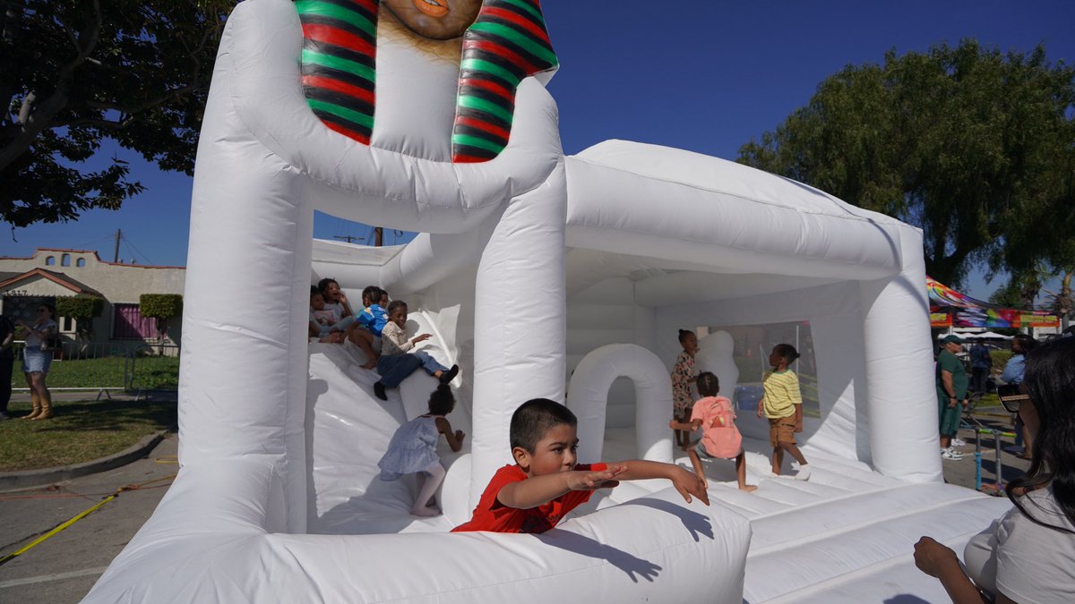 judy hilarious tweet media