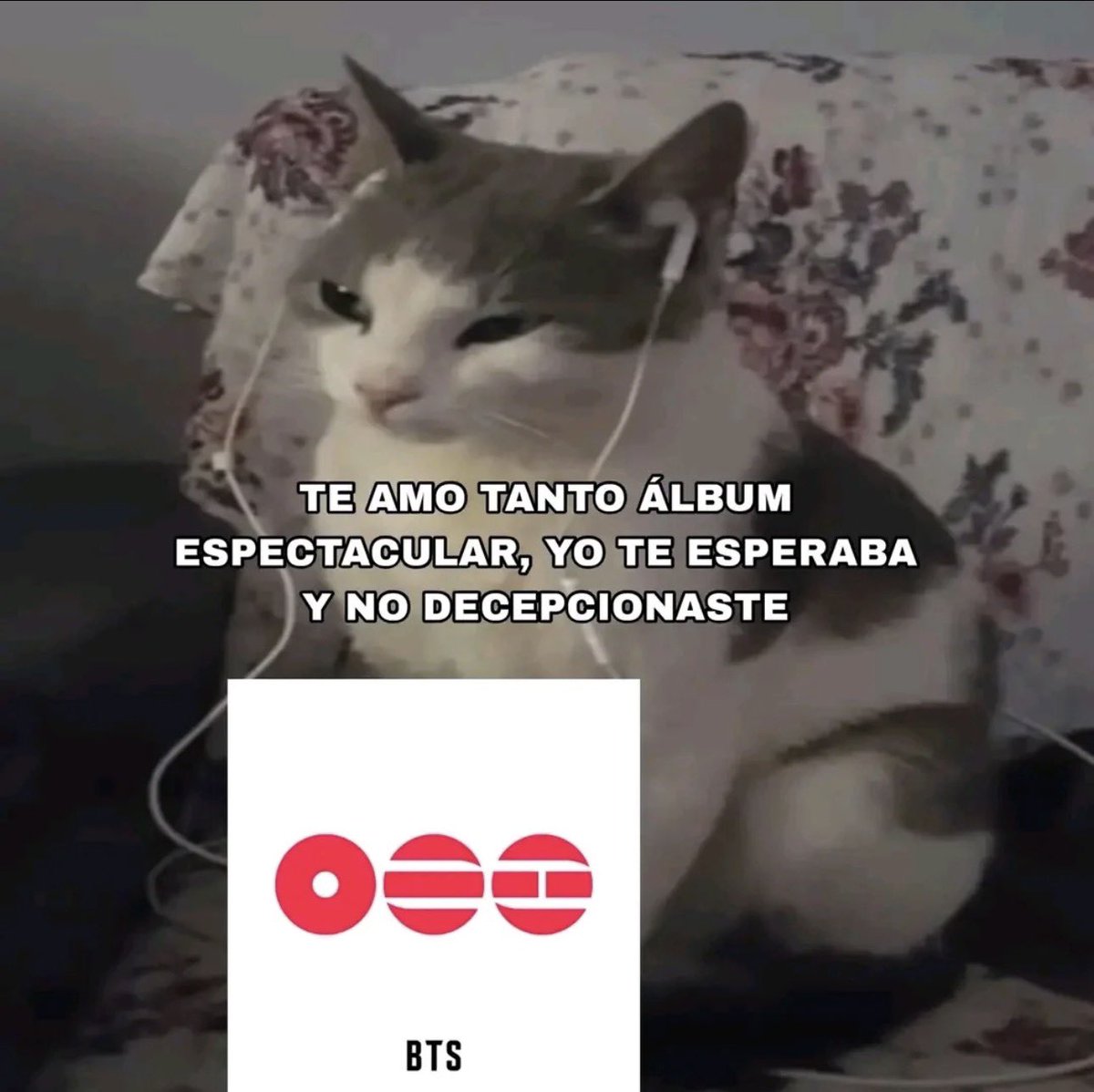 ًmoni 🫧 ⊙⊝⊜ tweet media