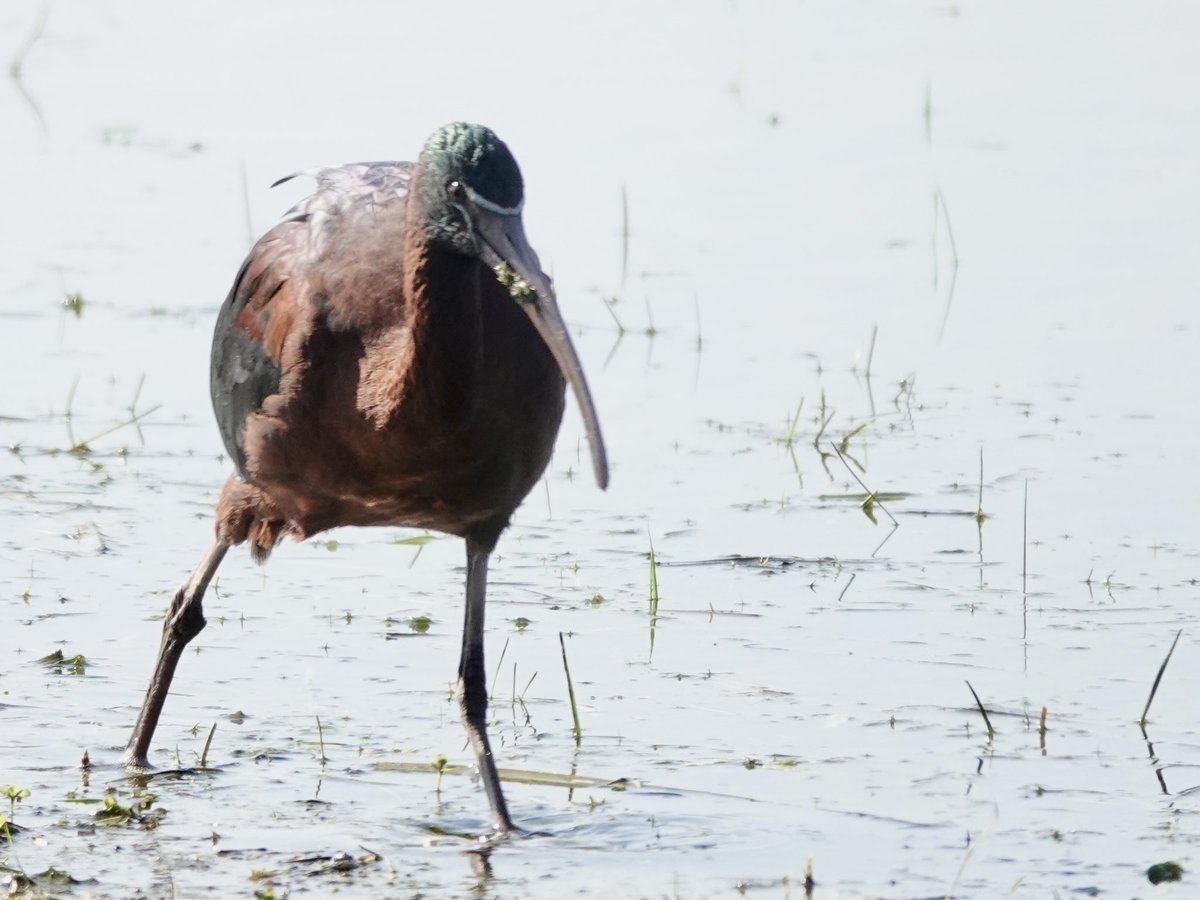 Sharon Wood (nee Loose) tweet media