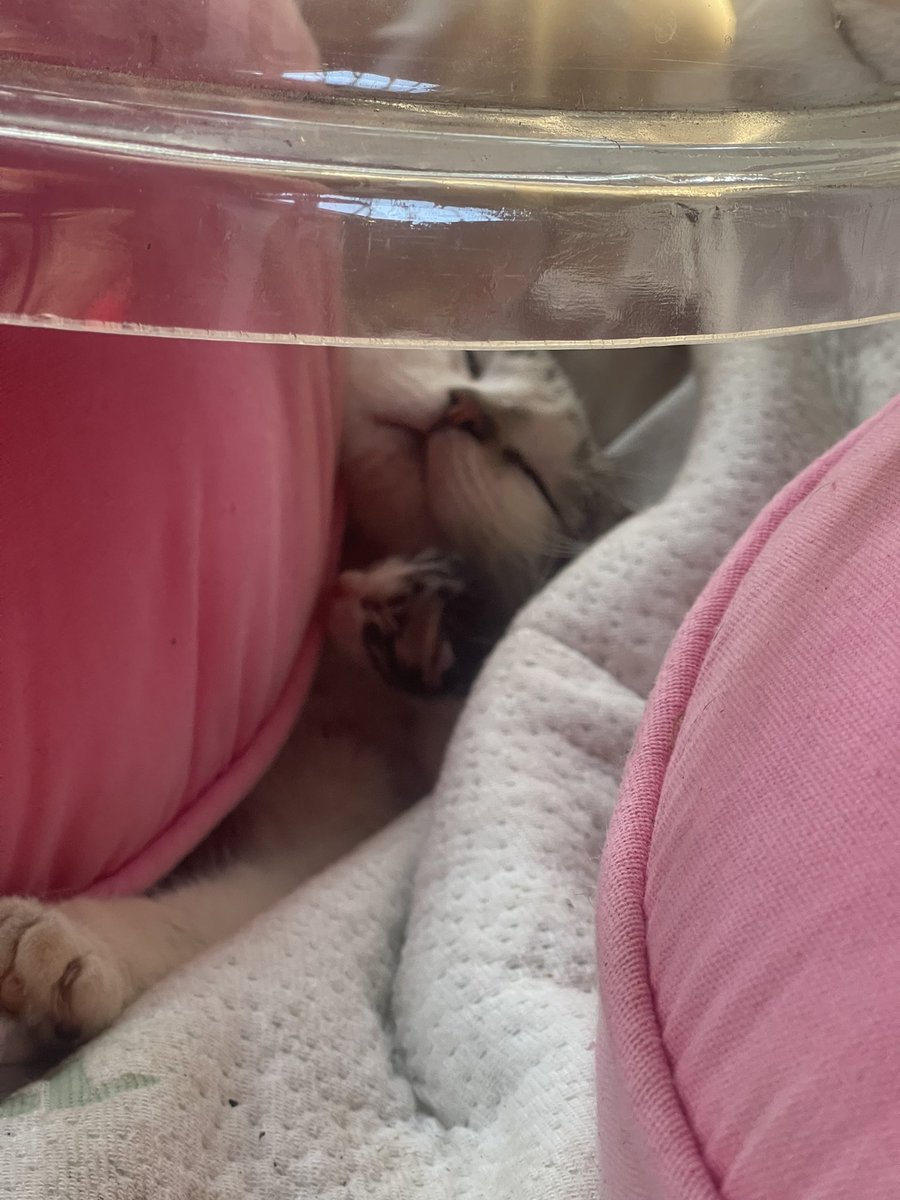 JohnnyBots tweet media