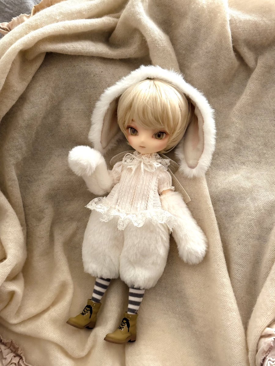 ミヒル tweet media