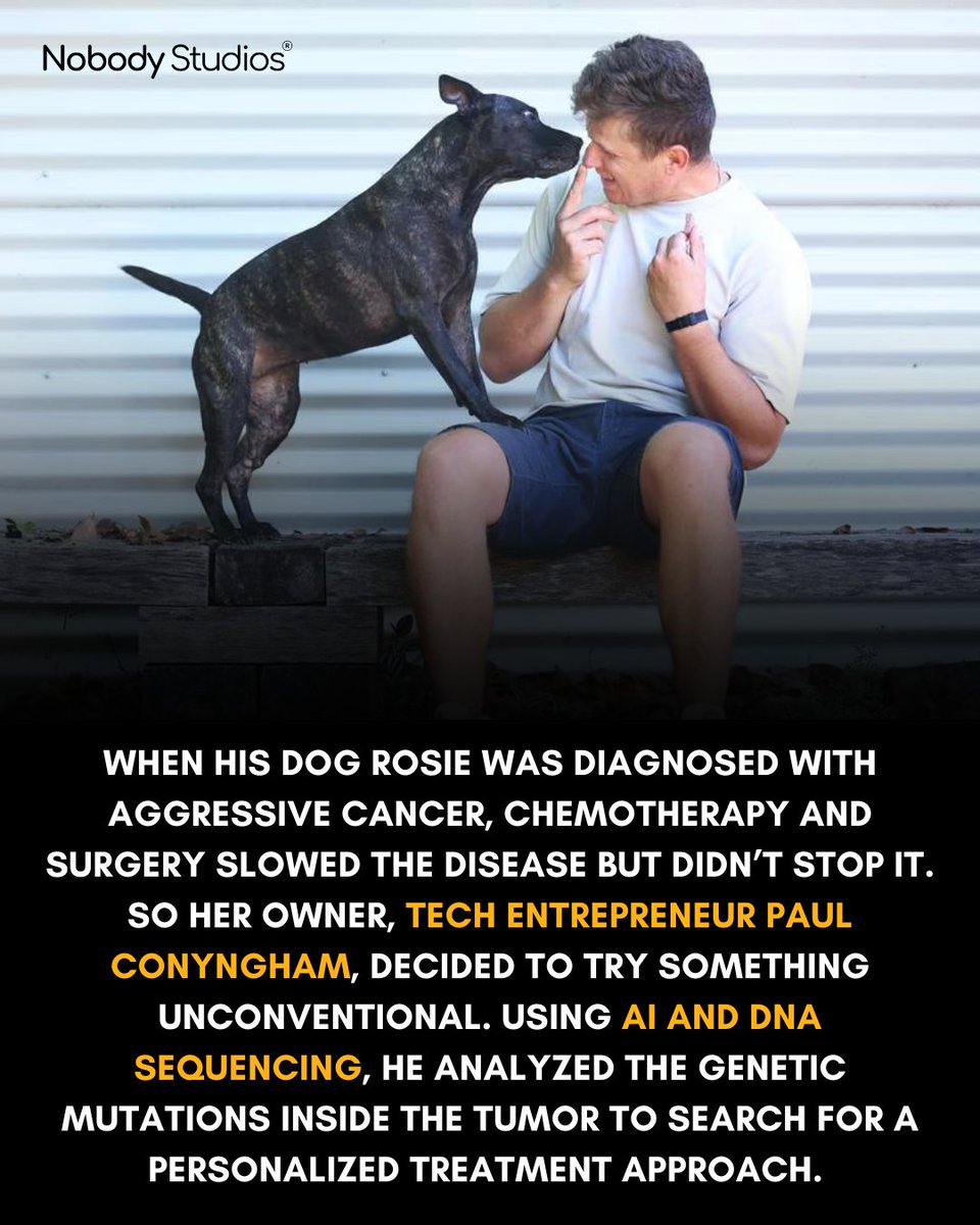 Nobody Studios tweet media