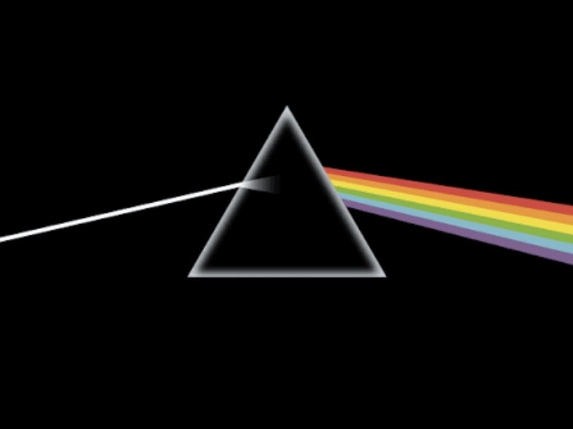 Killian Fitzpatrick tweet media