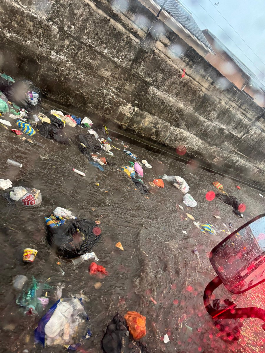 Harold Sojos tweet media