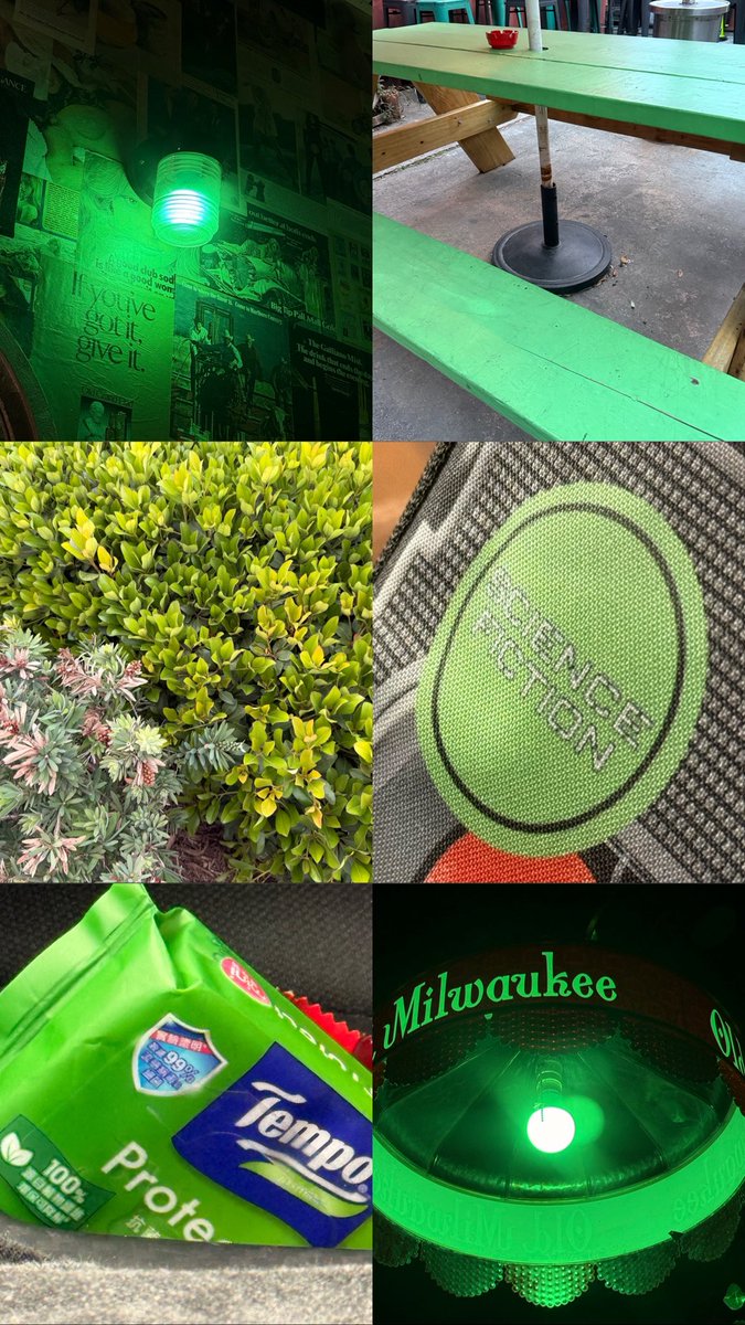 nicole 🥸🔻 tweet media