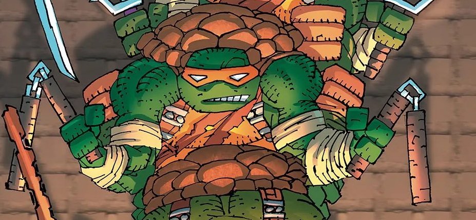 Mini 🐢 tweet media