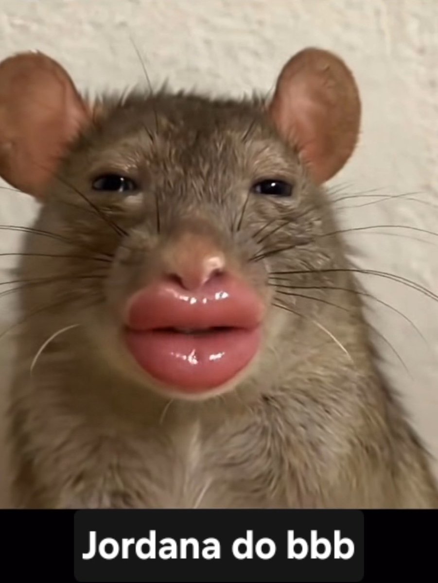 Rô Neves tweet media