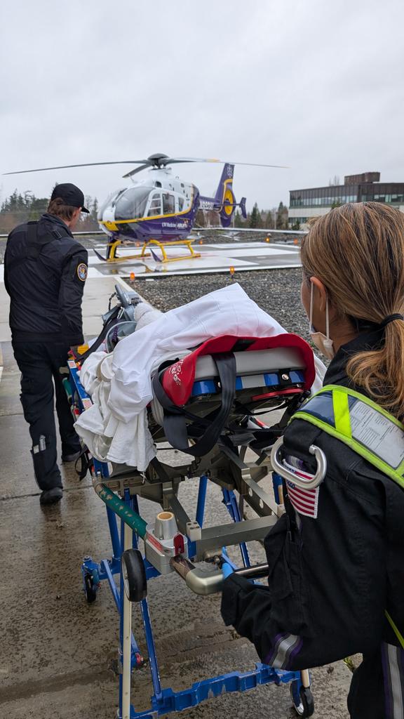 Danielle Shay tweet media