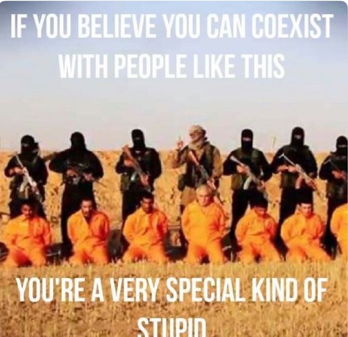 Michael430 tweet media