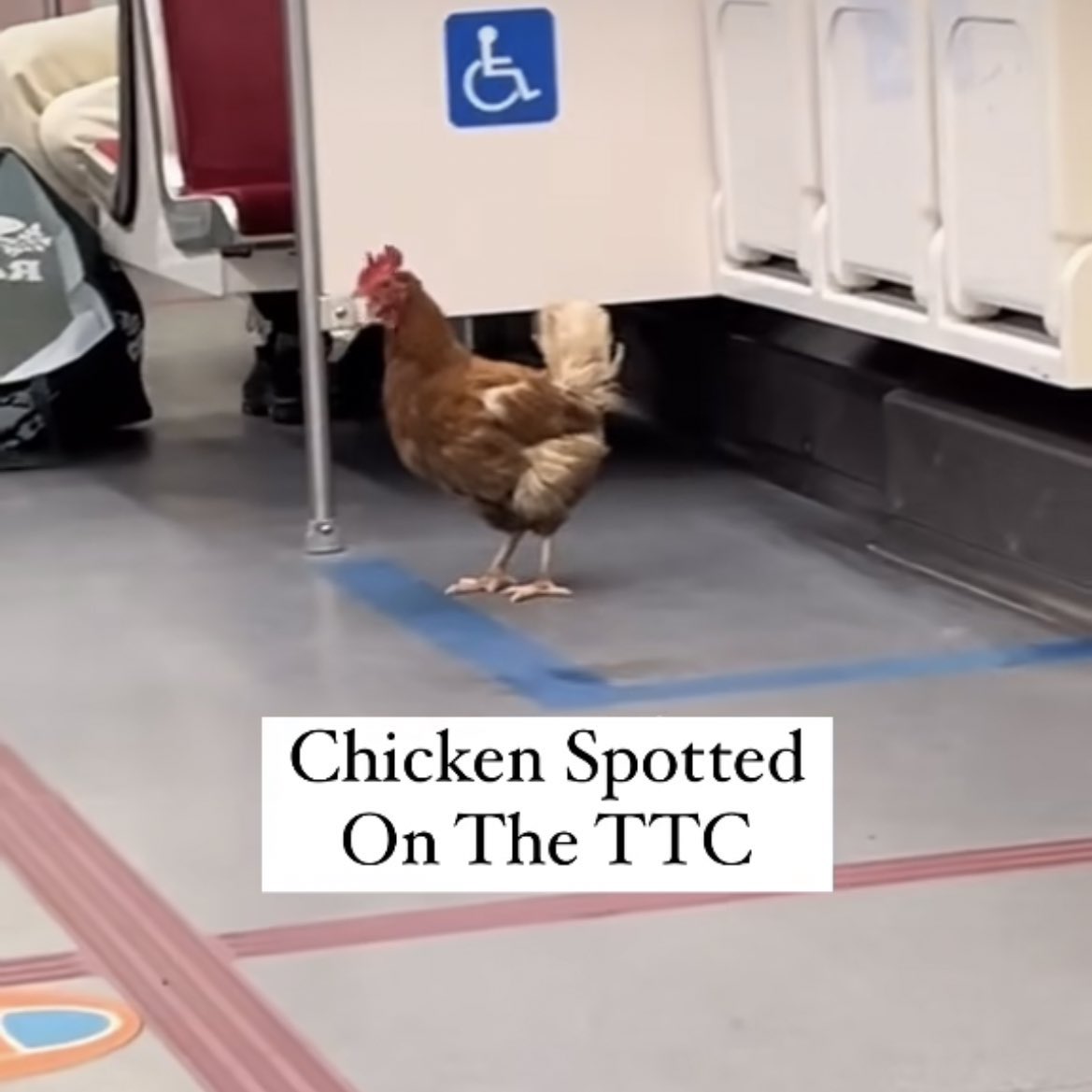 Sock’s father tweet media