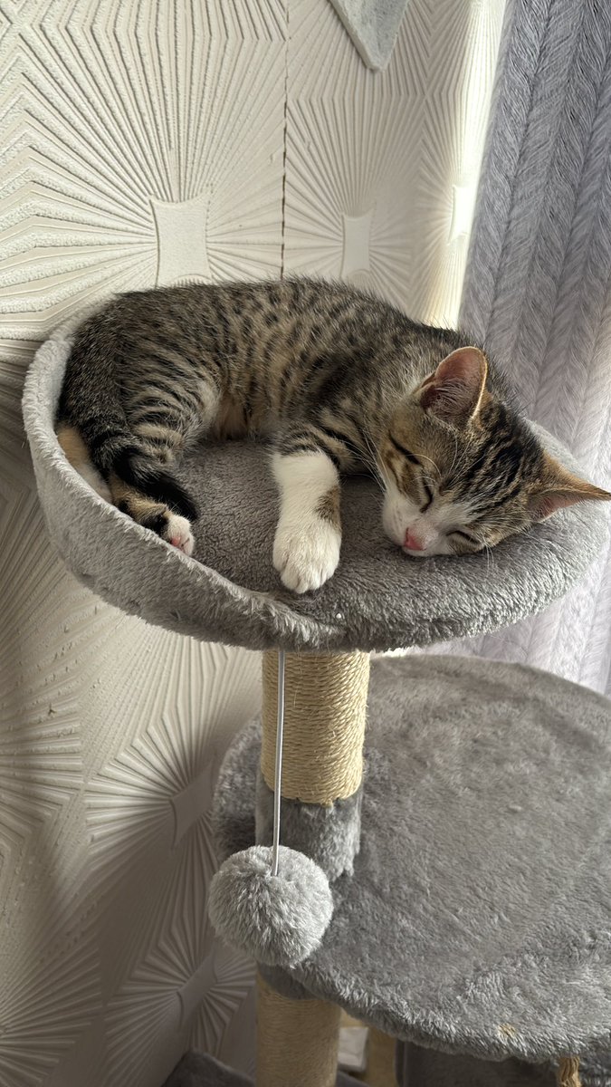 етем-gshi 🦅 tweet media