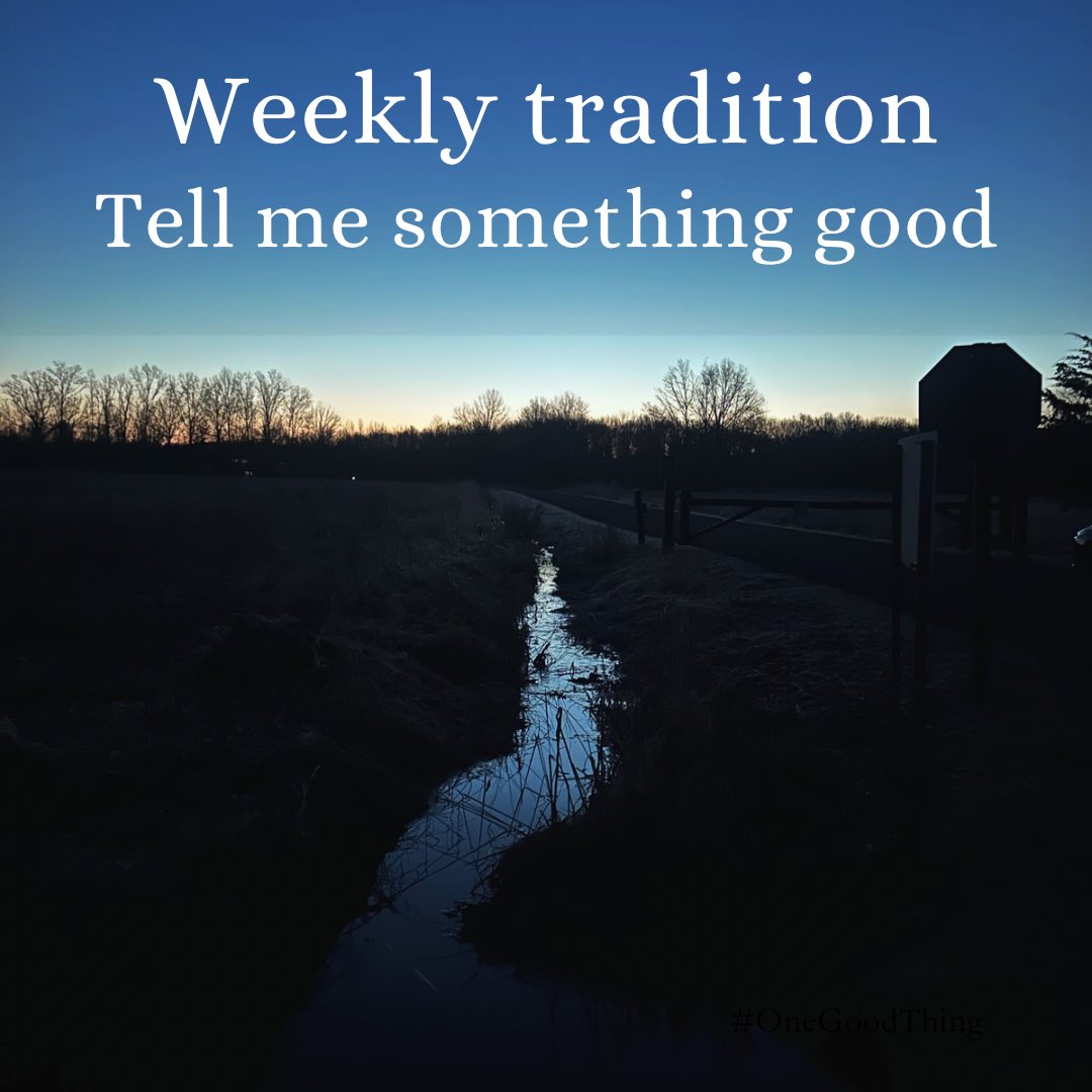 The Hoarse Whisperer tweet media