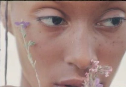 — reminisce of a vintage black girl in springtime 🌷˚˖𓍢ִִ໋🌼🧺˚˖𓍢ִ🌿˚.🫧