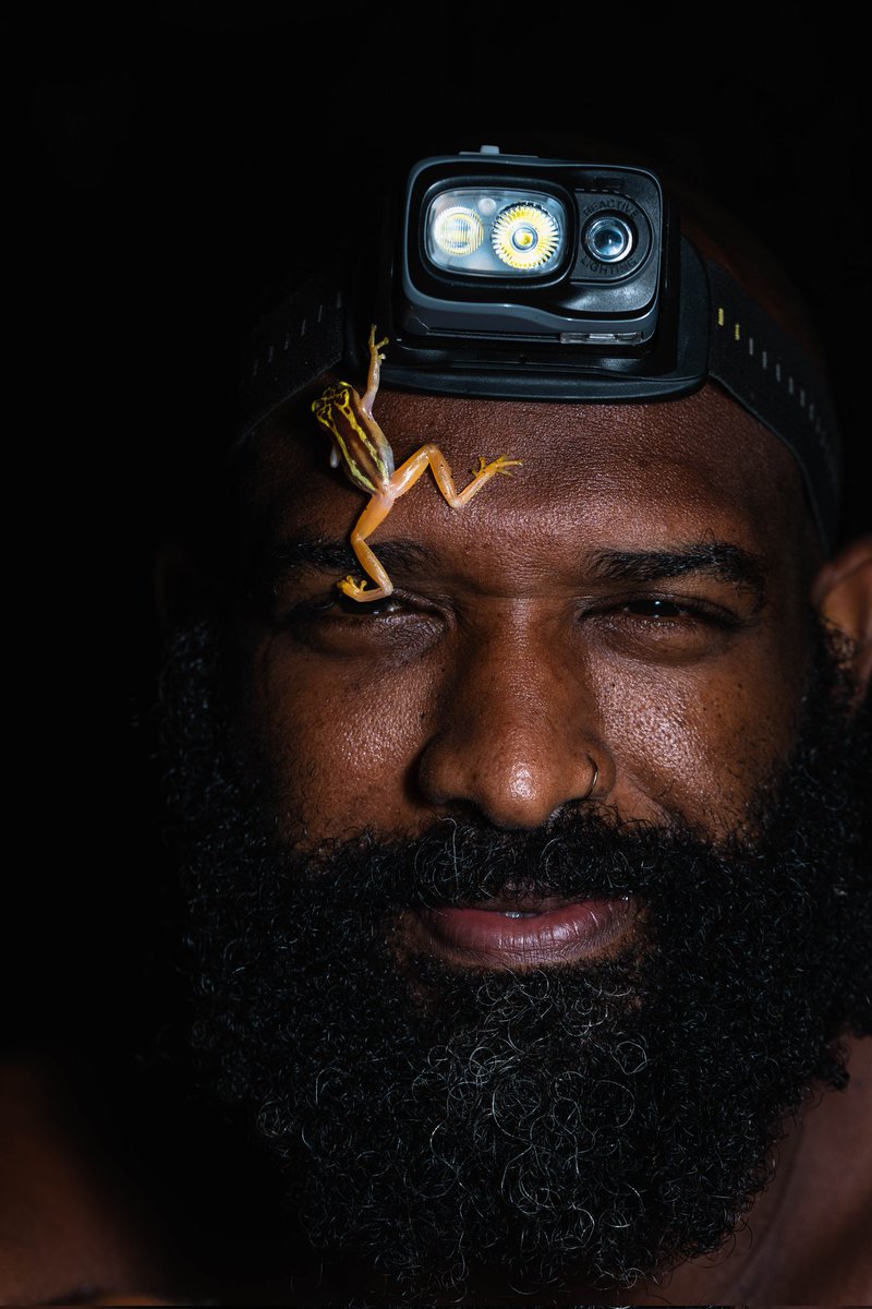 Nicholas Walker tweet media