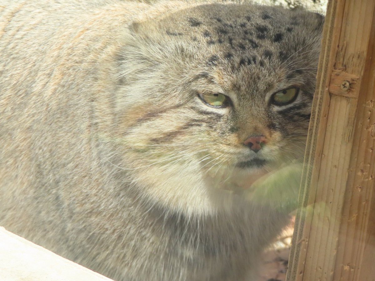 ゆーや★ tweet media