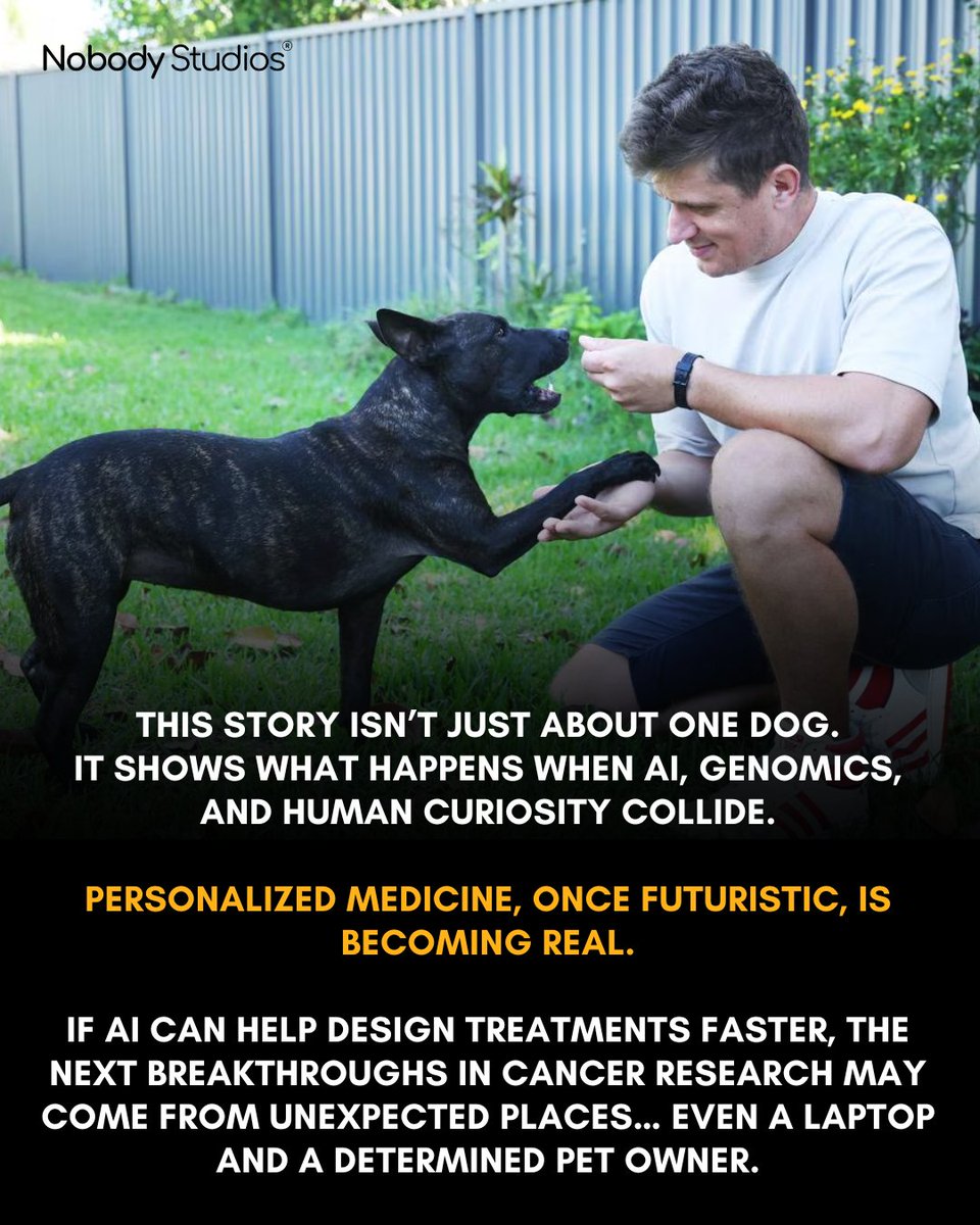 Nobody Studios tweet media