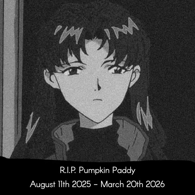 Free Centrist State of Derryounce tweet media